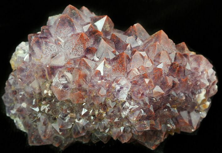 Thunder Bay Amethyst Cluster With Hematite #46295